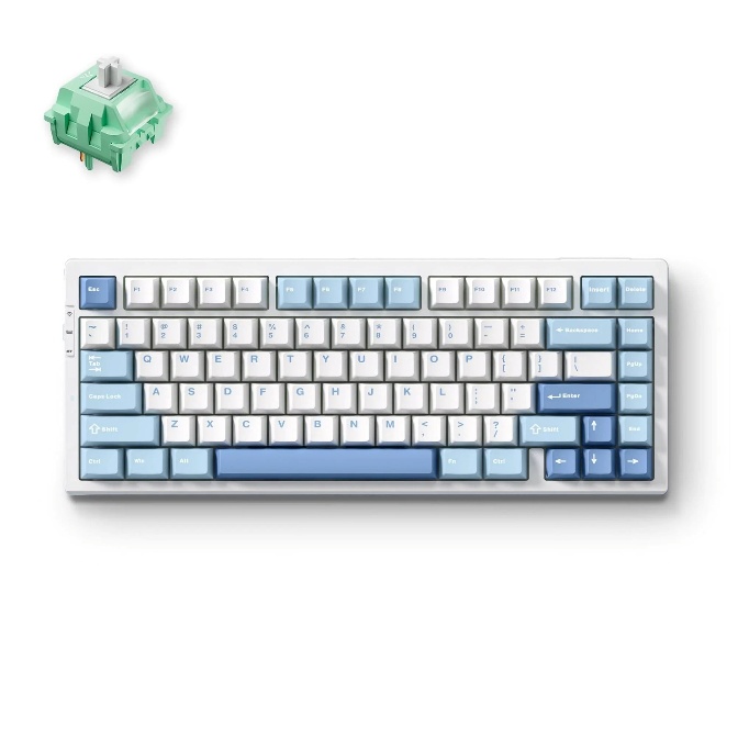 G75-4A Blue Cabbage Tofu Switch V2